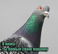 Аватара пользователя