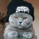 Аватара пользователя