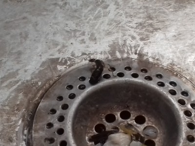 20170726_073209.jpg