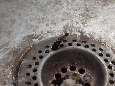 20170726_073205.jpg