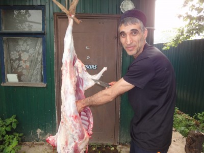 пятнашка 059.jpg