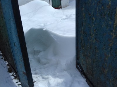 20180319_113251.jpg