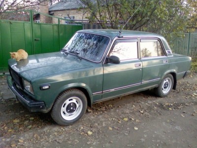 vaz.jpg