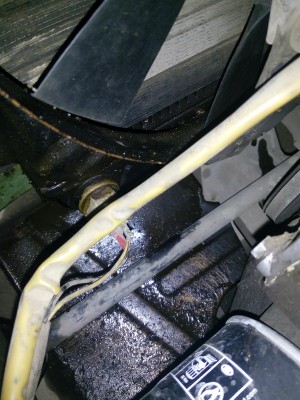 2019-11-12 17.25.32.jpg