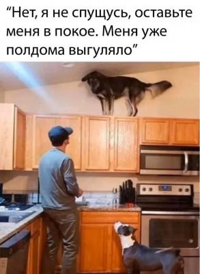 _G4ZYFeoMpw.jpg