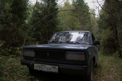 GAP_IMG_7782.jpg