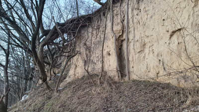 20220123_162834.jpg