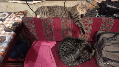 IMG_20220130_000555.jpg (1.68 МБ) 10740 просмотров IMG_20220130_000555.jpg