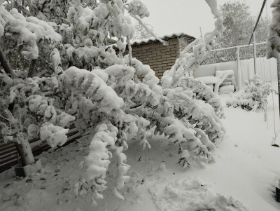 IMG_20231126_084420.jpg (5.01 МБ) 34300 просмотров IMG_20231126_084420.jpg