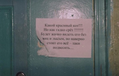 Угроза коту.JPG