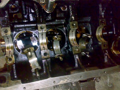 141120102490.jpg