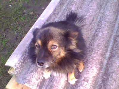 IMG0109A.jpg