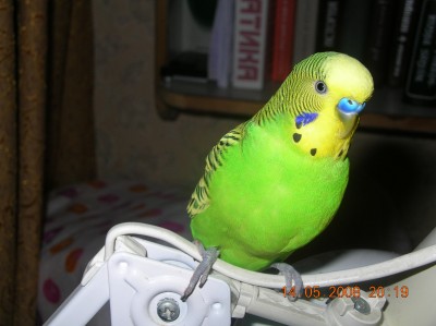 DSCN2567.JPG