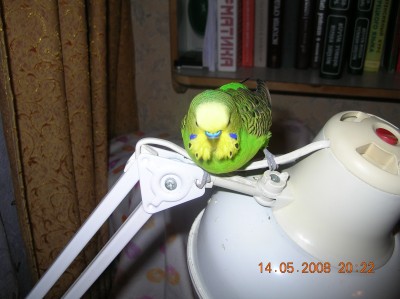 DSCN2574.JPG