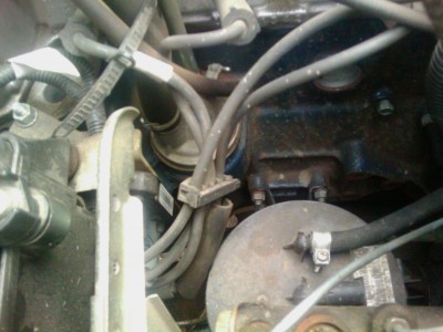IMAG0212.jpg