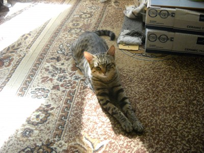 DSCN0932.JPG