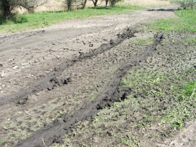 DSCF4847.JPG