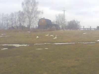 picture_00184.jpg