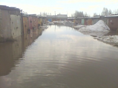 picture_00174.jpg