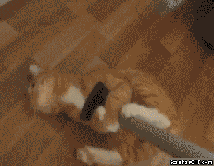 1338804210_fan_gif_09.gif