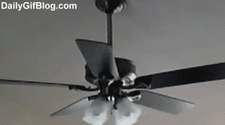 1338475809_klugif_06.gif