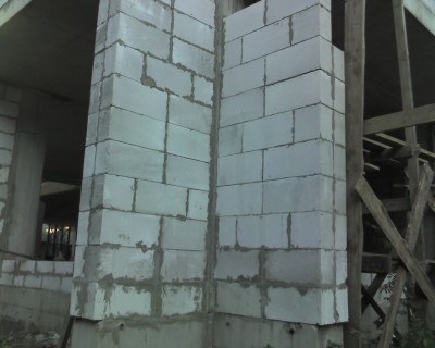 img461.jpg