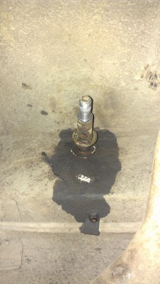 IMAG0115.jpg