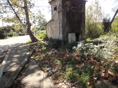 DSC02609.JPG