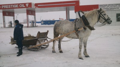 DSC_0047.jpg