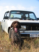 Аватара пользователя