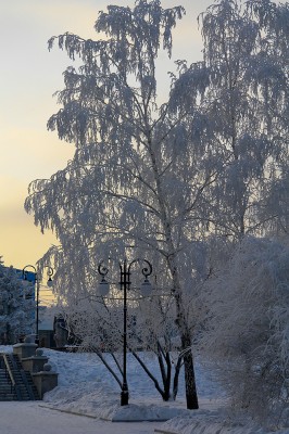 _DSC0303a.jpg