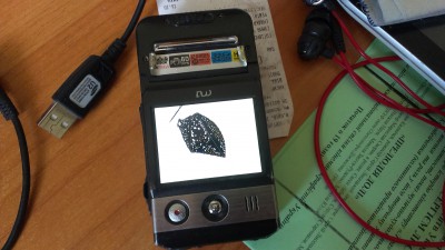 IMAG0755.jpg