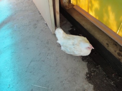 пятнашка 110.jpg