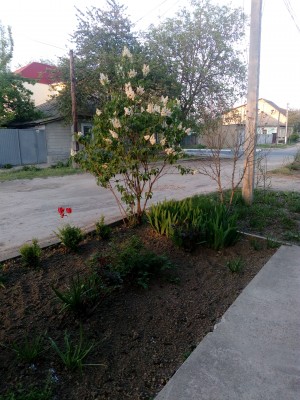 2018-04-25 19.32.18.jpg