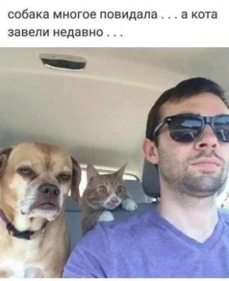 71710618_226261641675732_197121917801463808_n.jpg (34.48 КБ) 7054 просмотра 71710618_226261641675732_197121917801463808_n.jpg