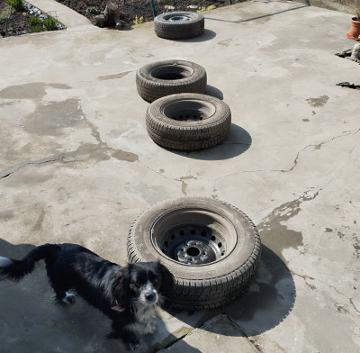 2024-03-17 11.40.02.jpg (4.37 МБ) 29650 просмотров 2024-03-17 11.40.02.jpg