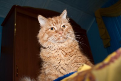 Изменение размера 20100531-DSC_0066.jpg