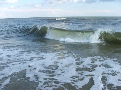 DSCF5625.JPG