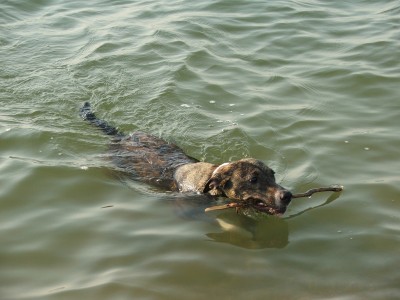 DSCF7685.JPG