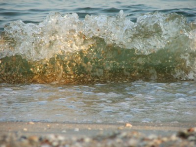 DSCF7971.JPG