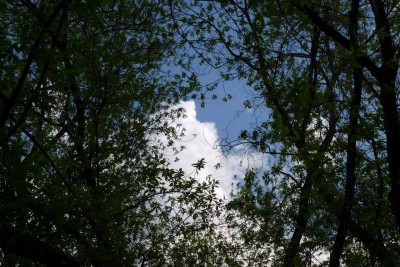 P1090830.jpg