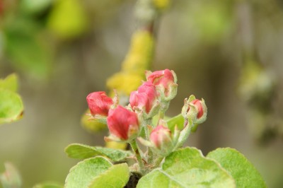 DSC08242.JPG