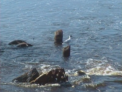 CAM_0767.JPG