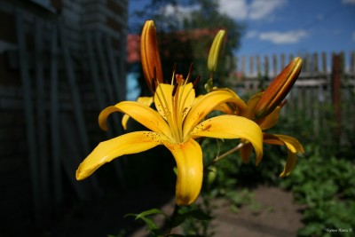 IMG_5404.JPG