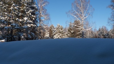 P1010154.JPG