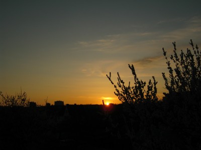IMG_0362.jpg