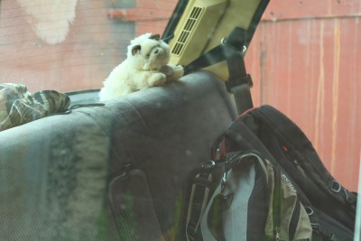 IMG_2992 (Копировать).JPG