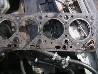 PICT0502.JPG