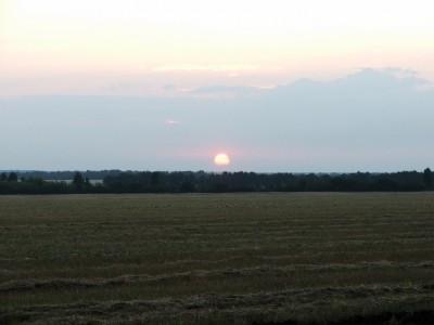 DSCF3936!.JPG