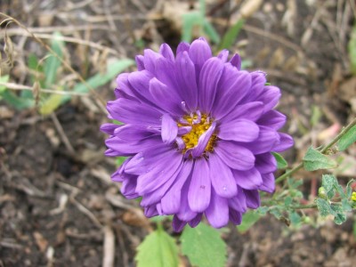 DSCF4608!.JPG